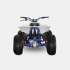 100/velocifero-e-atv.jpg